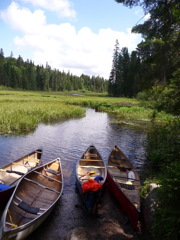 Algonquin Park Canoe Lake Classic Loop Welcome To Kpw Outdoors